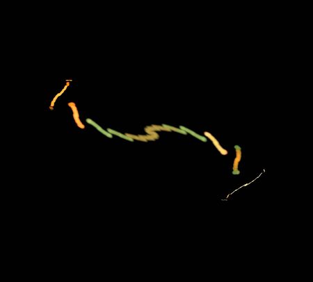 image of one Digital Fractal on Black Color