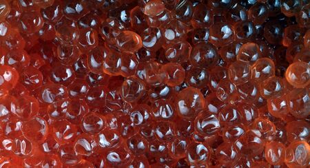 red caviar at dayの写真素材