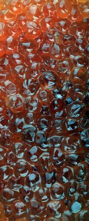 red caviar at day