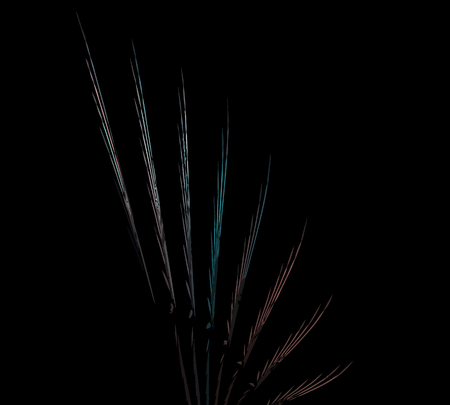 vector backgroundのイラスト素材