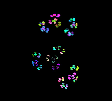 image of one Digital Fractal on Black Colorの写真素材