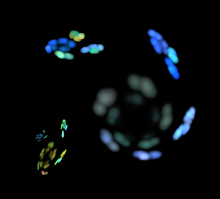 image of one Digital Fractal on Black Color