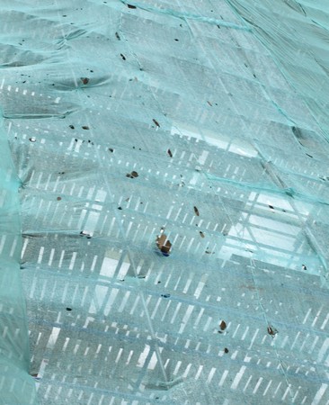 house develop at dry dayの写真素材