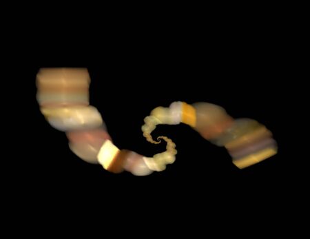 image of one Digital Fractal on Black Color