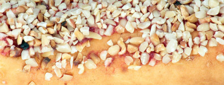 Bun with Nutの写真素材