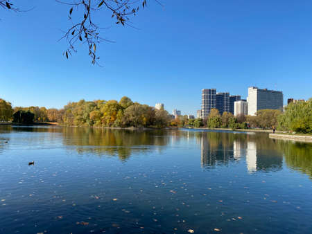 park in autumn at dry sunny fall dayの写真素材