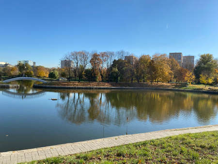 park in autumn at dry sunny fall day