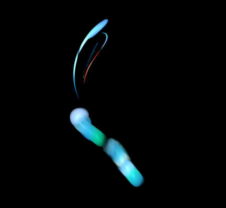 image of one illustration of digital fractalの写真素材