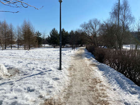 winter in city park at dry sunny day