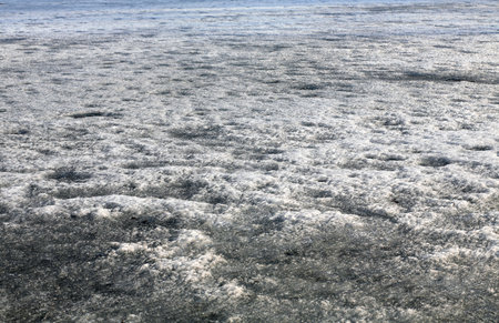 last spring ice on the pondの写真素材