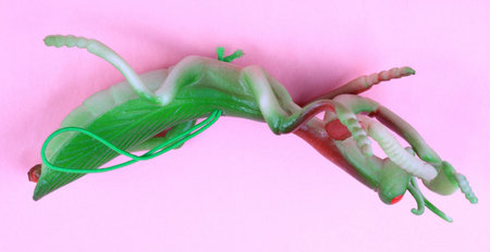 mantis toy on pink background at dayの写真素材