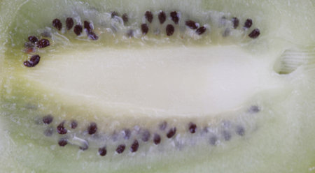 raw kiwi at day
