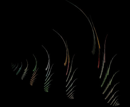 image of one illustration of digital fractal