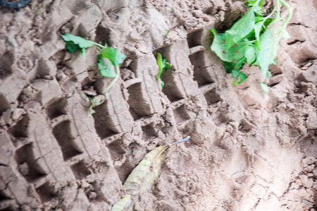 Trace of motorcycle wheel in the sandの写真素材