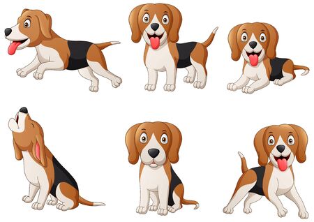 Set of beagle dog cartoon. Vector illustrationのイラスト素材