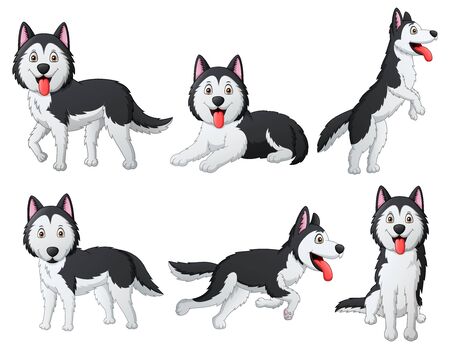 Set of funny siberian husky dog cartoon.Illustrationの写真素材