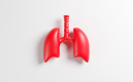 Lungs on white background, 3D renderの写真素材
