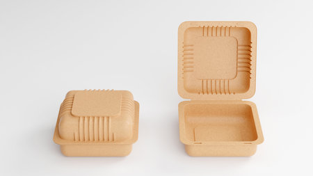 empty disposable paper food packaging tray