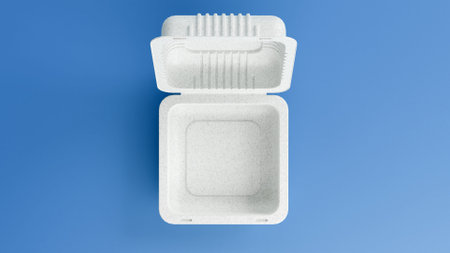 empty disposable paper food packaging tray