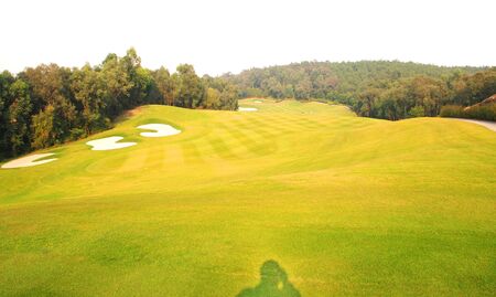 Forest and lawnの写真素材