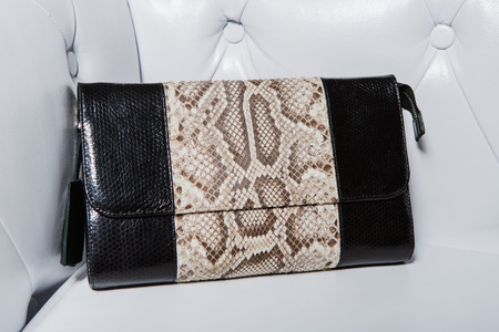beautiful modern bag for girls and womenの写真素材