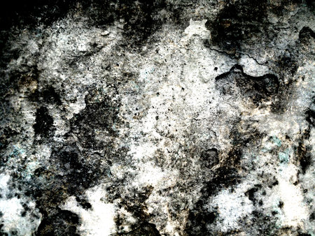 Grunge cement wall texture. Abstract background and texture for design.の写真素材
