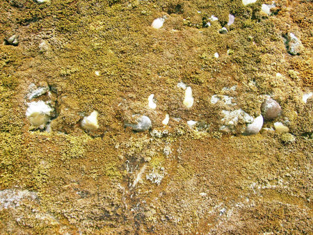background texture of old stone wall with moss and lichen, closeupの写真素材