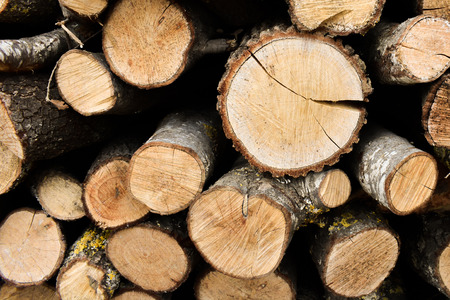 PIECES OF LOGS READY TO BE BURNED AND CREATE A CONTROLLED FIRE IN A CHIMNEY IN ORDER TO WARM A HOUSEの写真素材