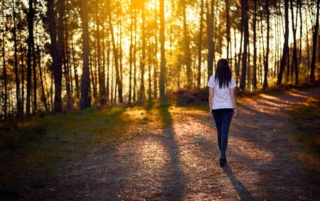 Young woman walking by a wild forest at sunsetの写真素材