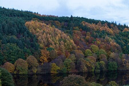 autumn in the forest, lake reflectionの写真素材