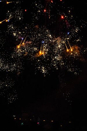 fireworks in the night sky