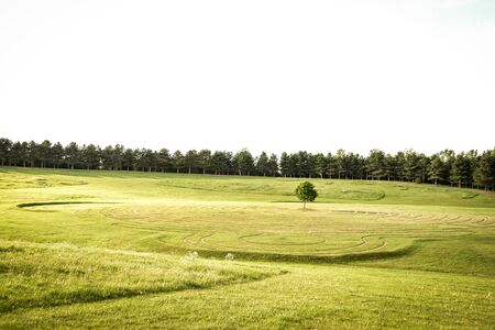 green field in the summer, green aloneの写真素材
