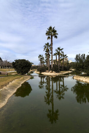 Price view of a small paradise.の写真素材