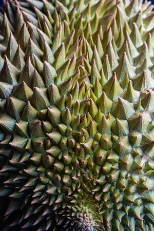 Durian fruit close up healthy food thorns