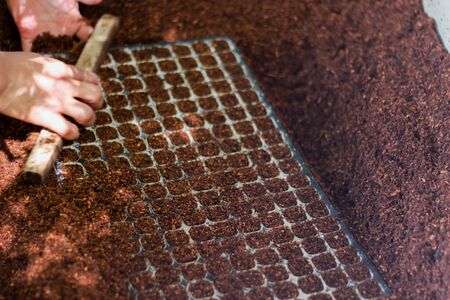trays for seed germination, along with ground coconut shell to fill the trays