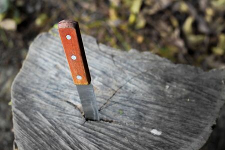 knife with wooden handle, stuck in a piece of trunkの写真素材