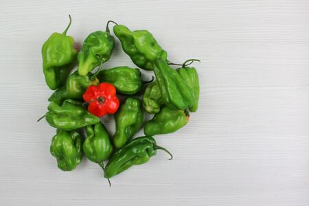 Small red and green peppers on white backgroundの写真素材