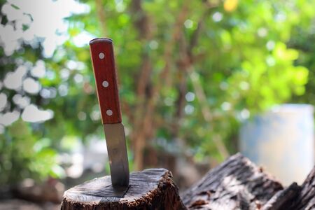 knife with wooden handle, stuck in a piece of trunkの写真素材