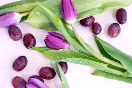 Tulips and olives with water drops on a white backgroundの写真素材