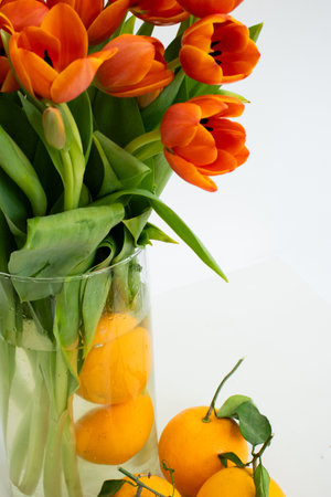 Bouquet of orange tulips in a vase on a white backgroundの写真素材