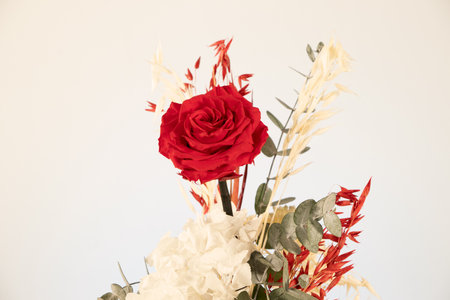 Red eternal rose in vase on white background, Valentine's Day.の写真素材
