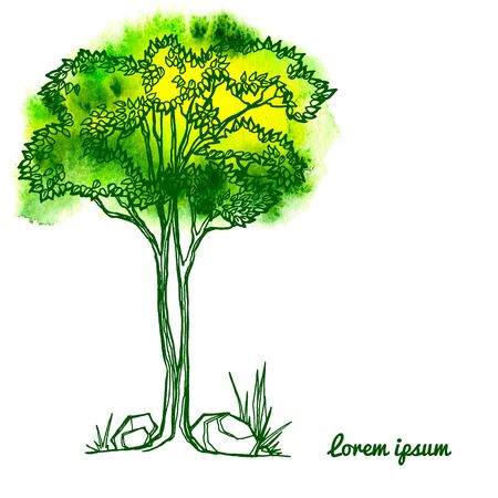 Vector illustration of tree.のイラスト素材