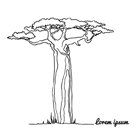 Vector illustration of treeのイラスト素材