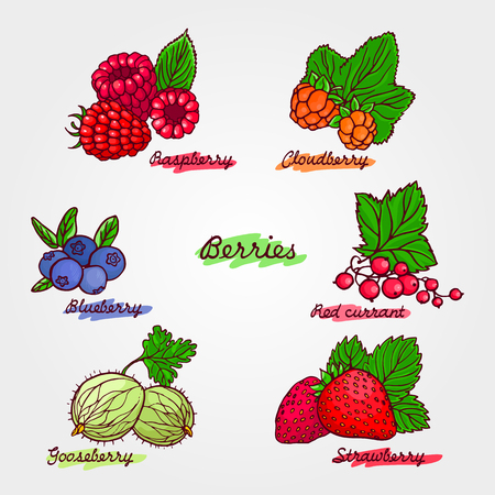 Set of ripe and cute hand drawn berries. Beautiful vector illustration.のイラスト素材