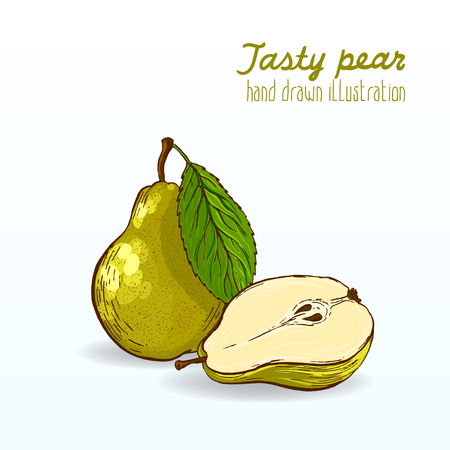 Colorful vector illustration of ripe and tasty fruit.のイラスト素材