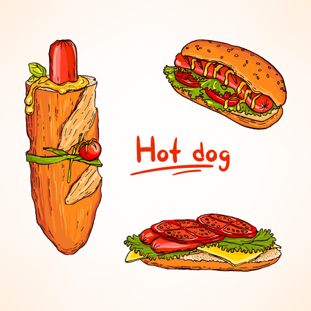 Tasty and colorful hand drawn vector set of hot dogs. Fast food.のイラスト素材