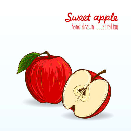 Colorful vector illustration of ripe and tasty fruit.のイラスト素材