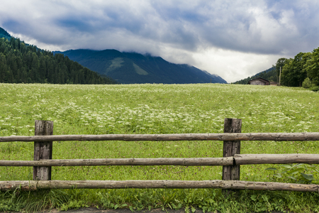 The alps in tirol, green meadows, blue skies and mountains covered with clouds.の写真素材
