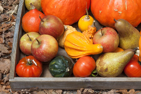 Pumpkins, apples, pears, tomatoes and straw on a wooden plate.の写真素材