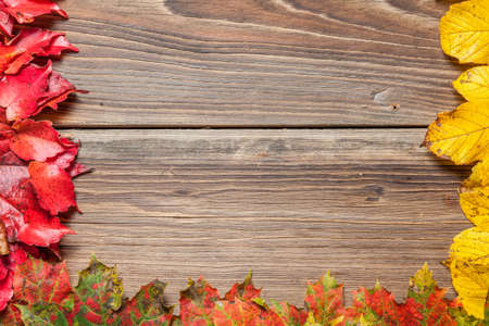 Colorful autumn leaves on a wooden table.の写真素材